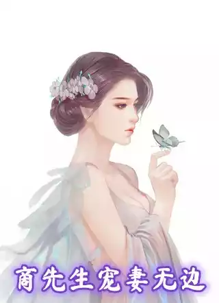 商先生宠妻无边小说