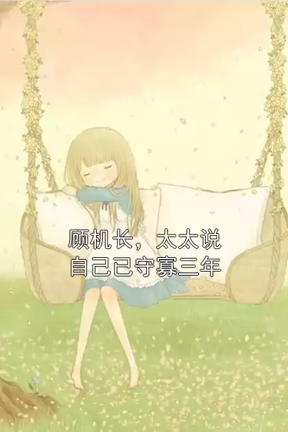 顾机长，太太说自己已守寡三年小说