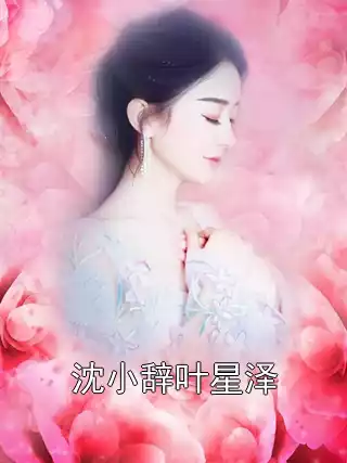 沈小辞叶星泽小说