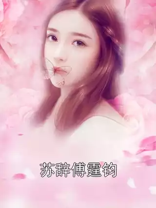 苏辞傅霆钧小说