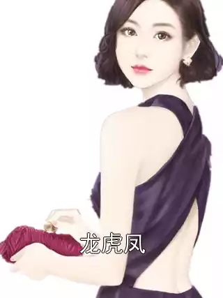 龙虎凤小说