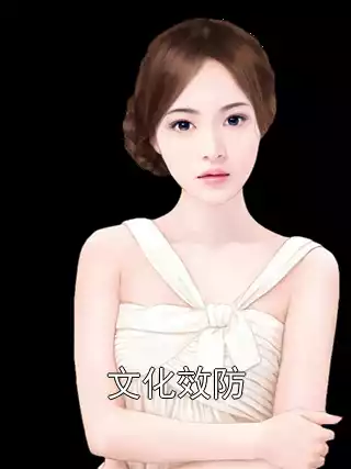 文化效防小说