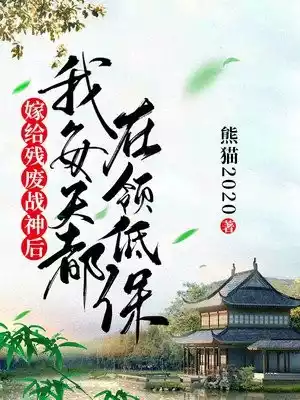 嫁给残废战神后我每天都在领低保小说
