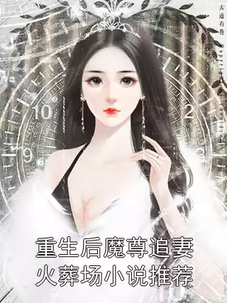 重生后魔尊追妻火葬场小说推荐
