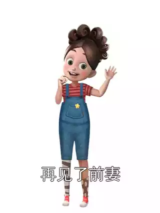 再见了前妻小说