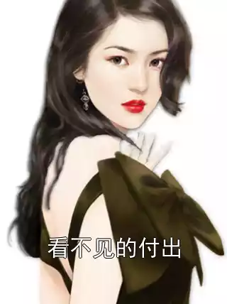 看不见的付出小说
