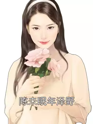 陈未眠年泽野小说