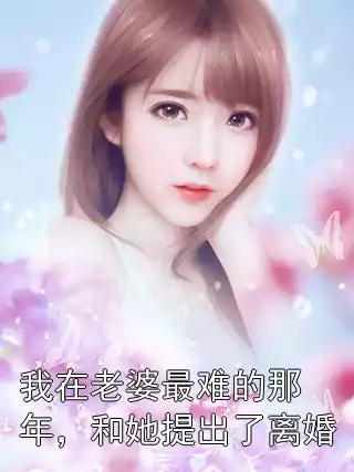 我在老婆最难的那年，和她提出了离婚小说
