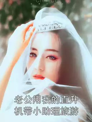 老公用我的直升机带小助理旅游