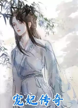 宠妃传奇小说