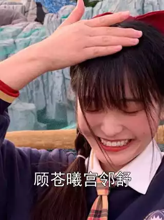 顾苍曦宫邻舒小说