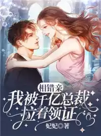 相错亲，我被千亿总裁拉着领证小说
