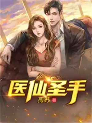 医仙圣手小说小说
