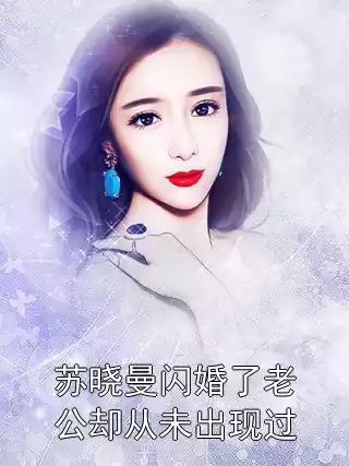 苏晓曼闪婚了老公却从未出现过小说