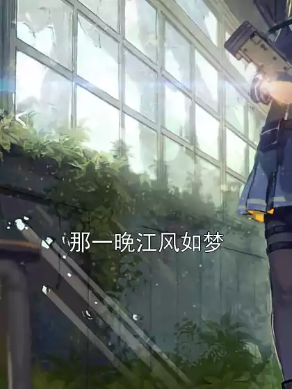 那一晚江风如梦小说