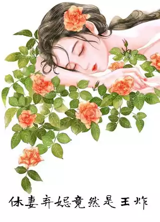 休妻弃妃竟然是王炸小说