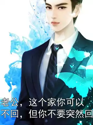 老公，这个家你可以不回，但你不要突然回小说