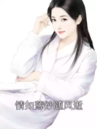 情如薄纱随风逝小说