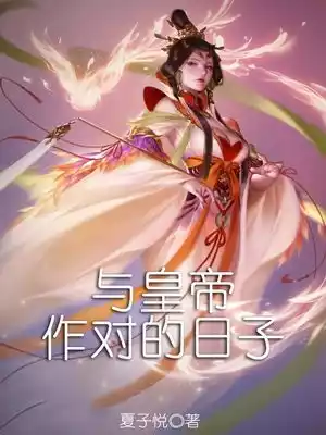 与皇帝作对的日子小说