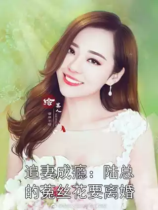 追妻成瘾：陆总的菟丝花要离婚小说