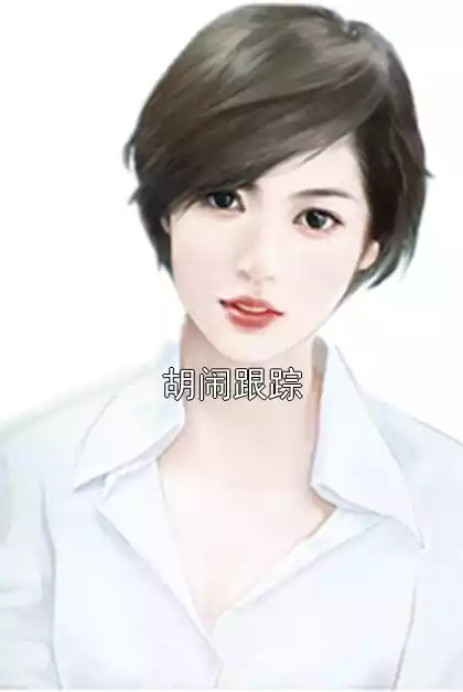 胡闹跟踪小说