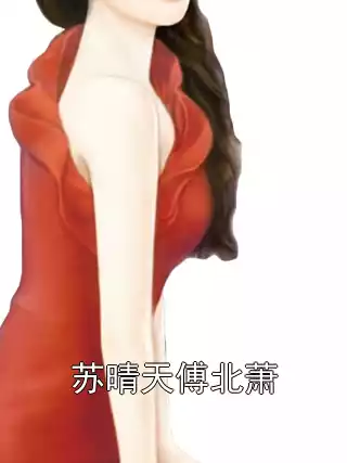 苏晴天傅北萧小说