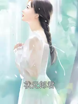 状元郎君小说