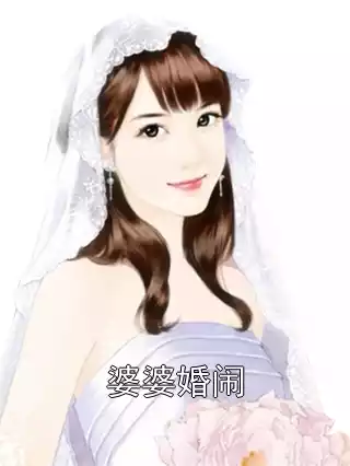 婆婆婚闹小说