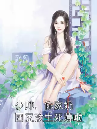 少帅，你家奶团又改生死薄啦小说