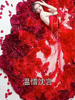 温惜沈言小说