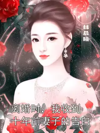 离婚时，我收到十年前妻子的告白小说