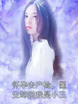 怀孕去产检，医生却说我是小三小说