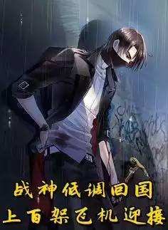 战神低调回国上百架飞机迎接小说