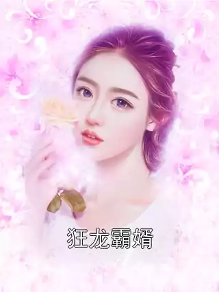狂龙霸婿