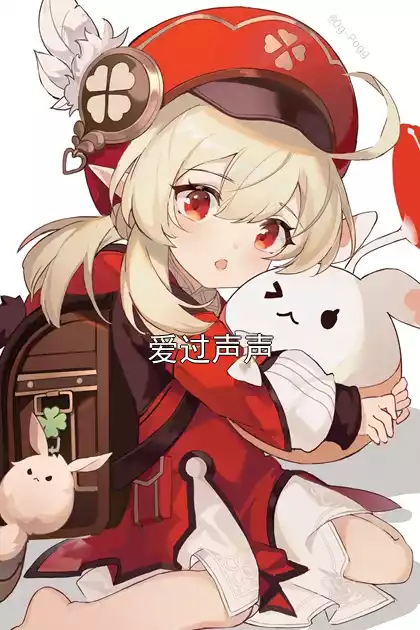 爱过声声小说