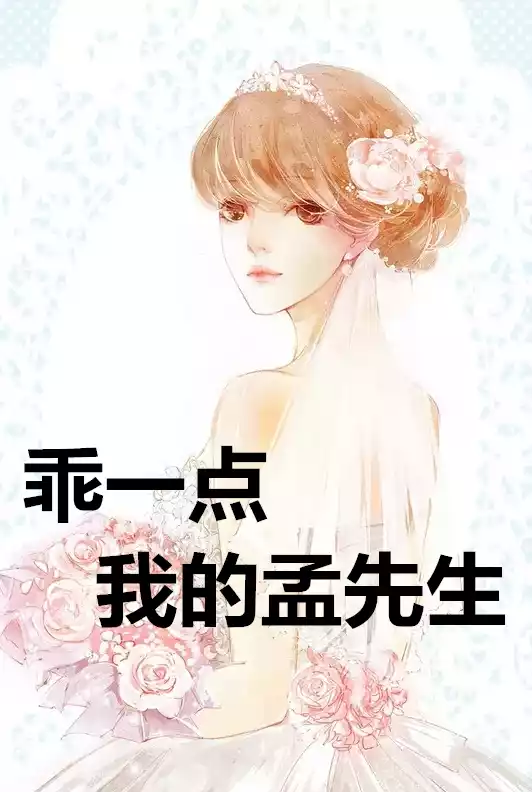 乖一点我的孟先生小说