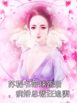 苏秘书带球跑后，病娇总裁狂追妻小说