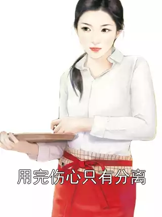 用完伤心只有分离小说