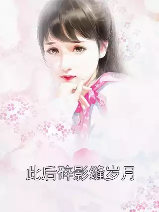 此后碎影缝岁月小说