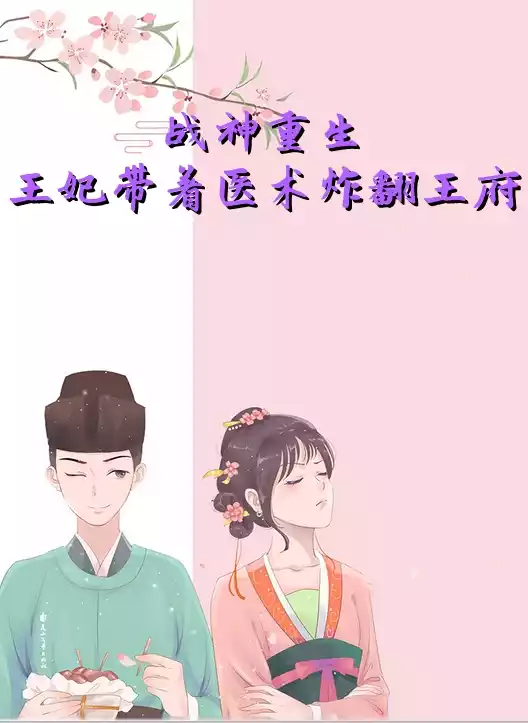 战神重生王妃带着医术炸翻王府小说