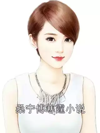 桑宁傅寒霆小说