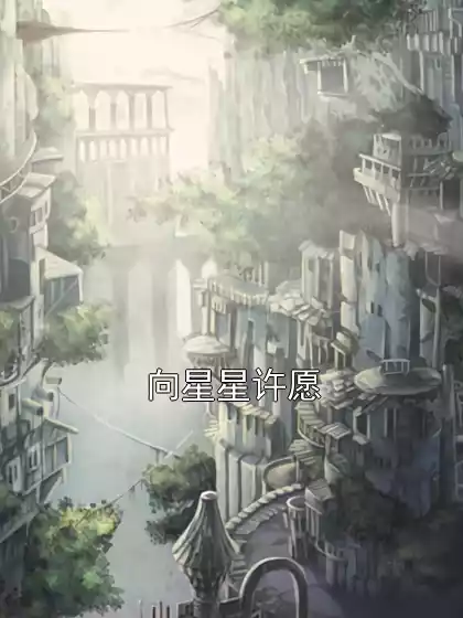 向星星许愿小说