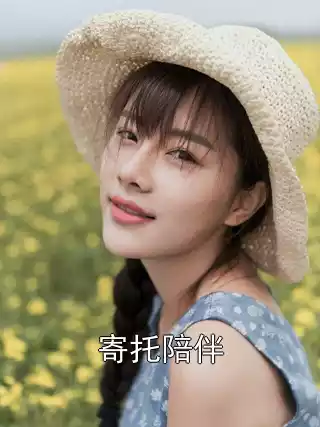 寄托陪伴小说