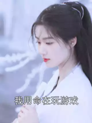 我用命在玩游戏