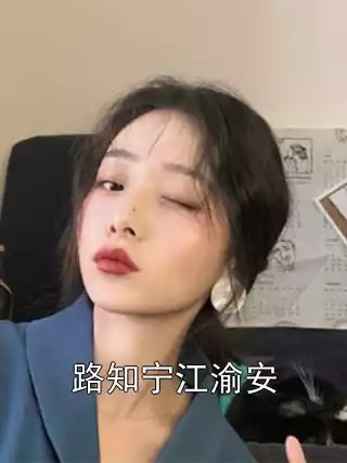 路知宁江渝安小说