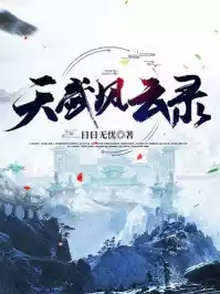 天武风云录小说