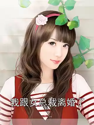 我跟女总裁离婚了