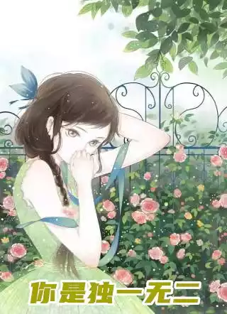 你是独一无二小说