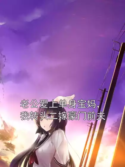 老公爱上单身宝妈，我转头二嫁豪门前夫小说
