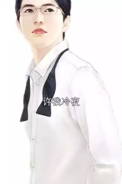 许我冷夜小说